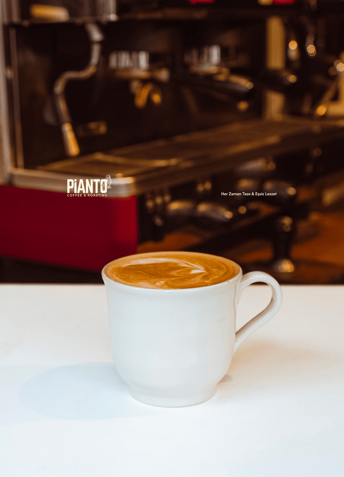 Coffee Latte - Piantocoffee